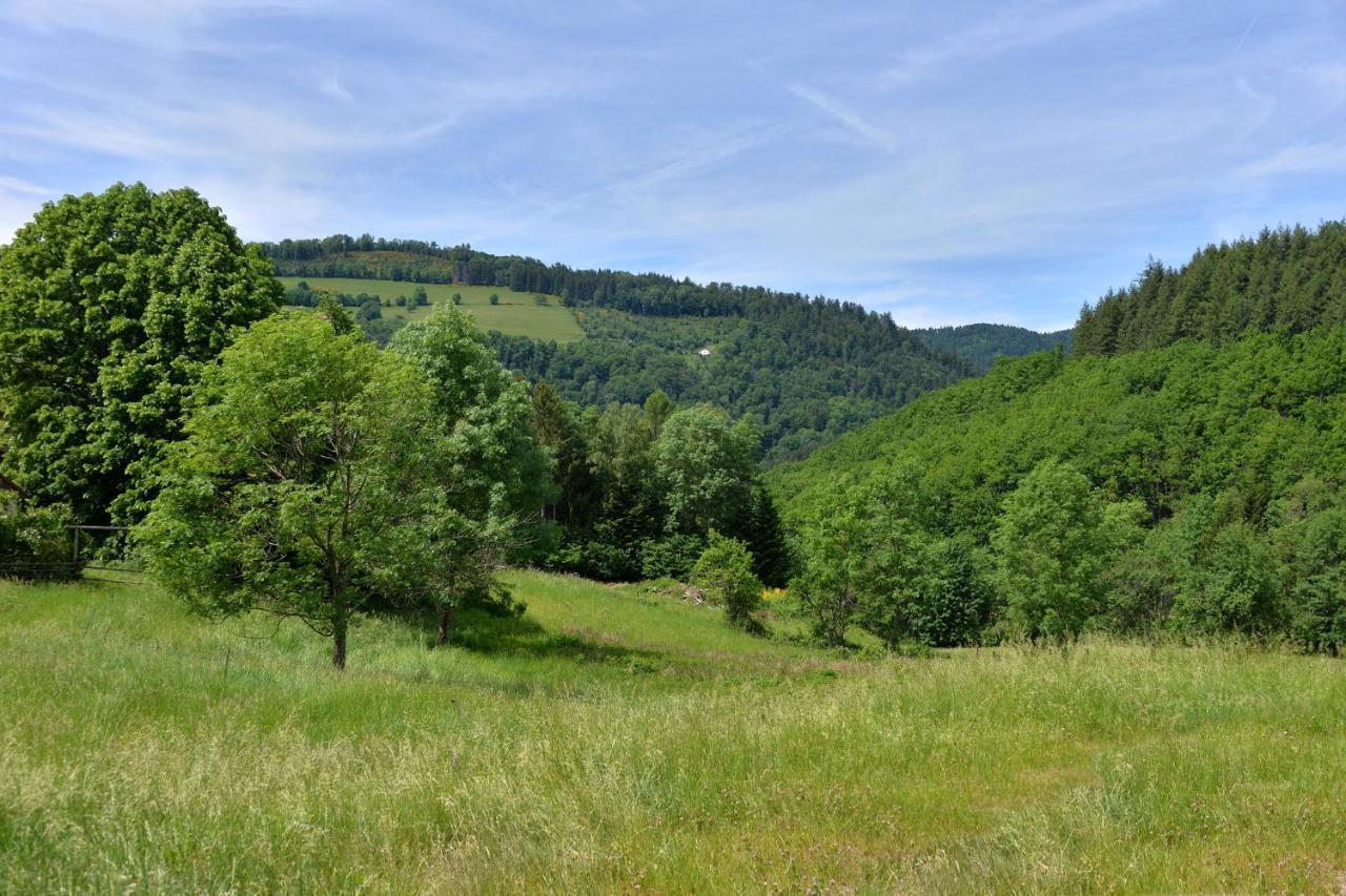Gite De La Chapelle Des Mineurs Sainte-Marie-aux-Mines Buitenkant foto