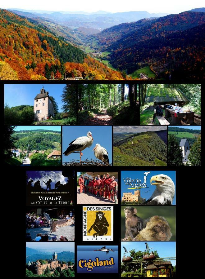 Gite De La Chapelle Des Mineurs Sainte-Marie-aux-Mines Buitenkant foto